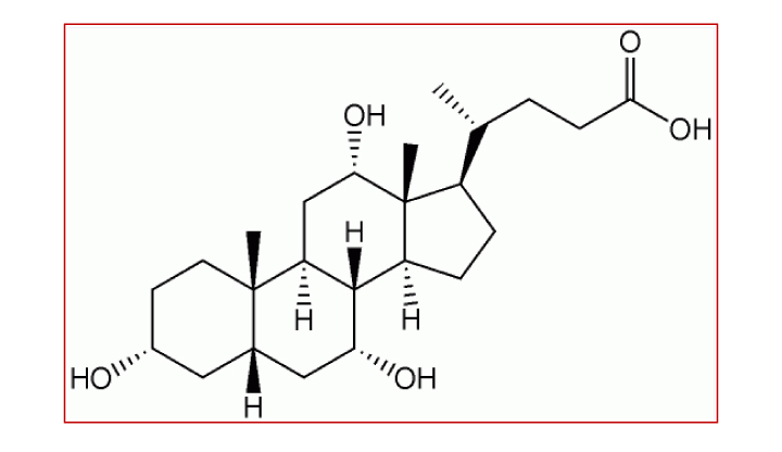 Cholic Acid(CA)